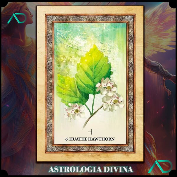 Celtic Tree Oracle Tarot - Imagen 2