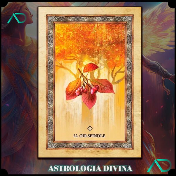Celtic Tree Oracle Tarot - Imagen 3